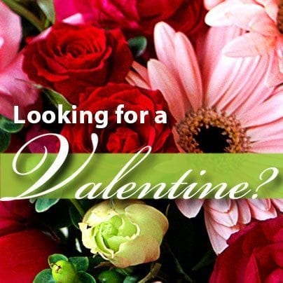 Facebook 404 - Valentine - looking for a valentine?