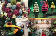 New National Brand, Pest Control Info Among Highlights of Proflora 2017