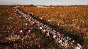 field of 63 tables with people eating