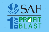 1-Day Profit Blast logo