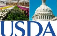 SAF and AmericanHort Suggest Improvements to Census of Horticultural Specialties