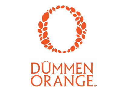 Expo-DummenOrange-4x3 Dream Cut Flowers