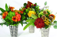 For Fall Pivot, N.Y. Florist Focuses on ‘Versatility’