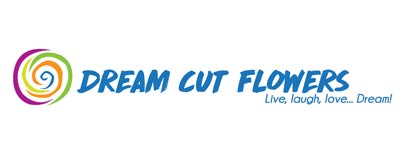 DreamCutFlowers-Logo Dream Cut Flowers