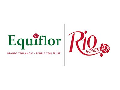 Equiflor-Rio-Roses-4x3 Flower Clique