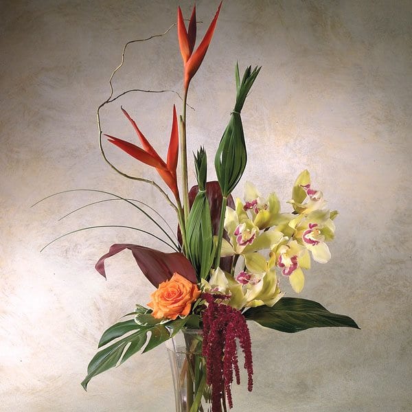 highstyle flower arrangement orchids
