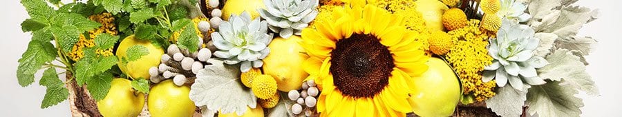 Sunflowers and lemons with dusty miller
