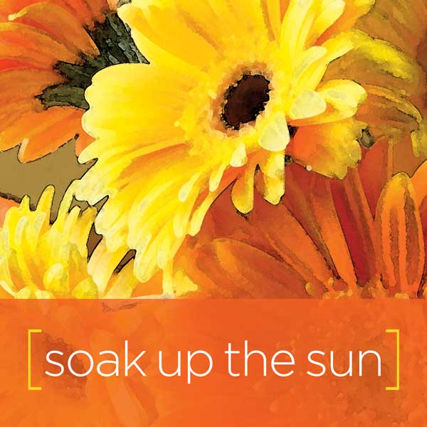 live-like-a-flower-soak-up-the-sun